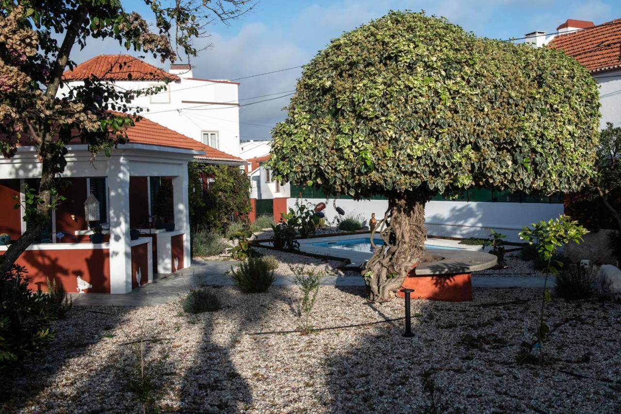 מלון פוז דו ארליו Casa Flamingo מראה חיצוני תמונה